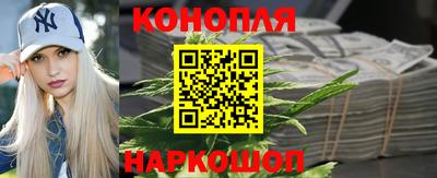 jwh Будённовск