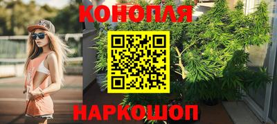 jwh Будённовск